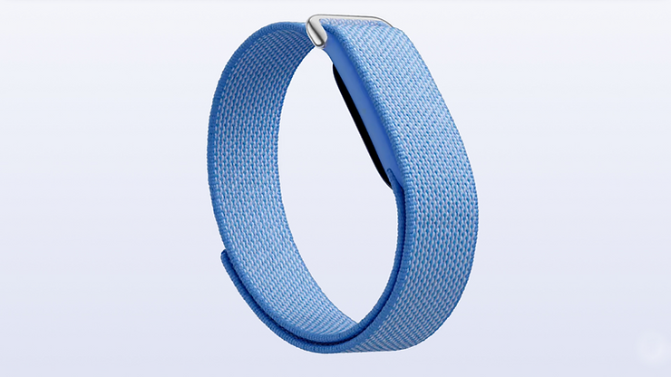 Fitbit Air